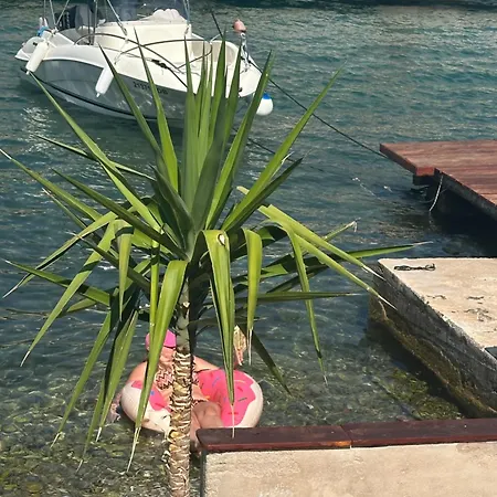 Panda Sea Touch Dubrovnik